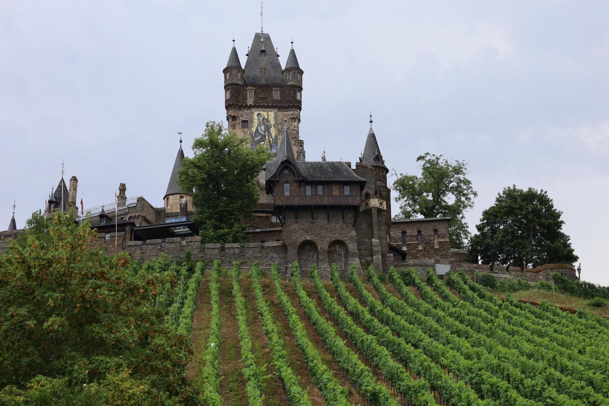 Weinburg -Das Ferienhaus Cochem Bagian luar foto